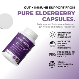 Elvera Gut Support Complex with Elderberry, Zinc & Vitamin C