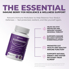 Elvera Gut Support Complex with Elderberry, Zinc & Vitamin C